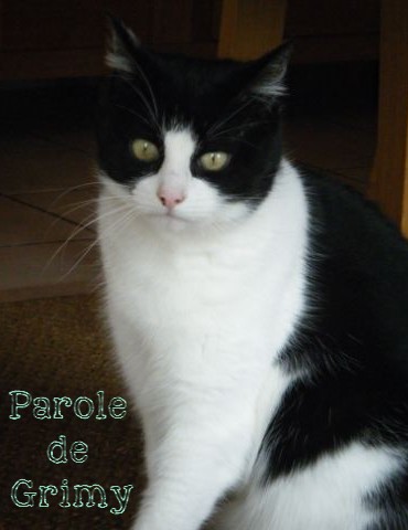 Atelier- Patchwork-Nicole R-9