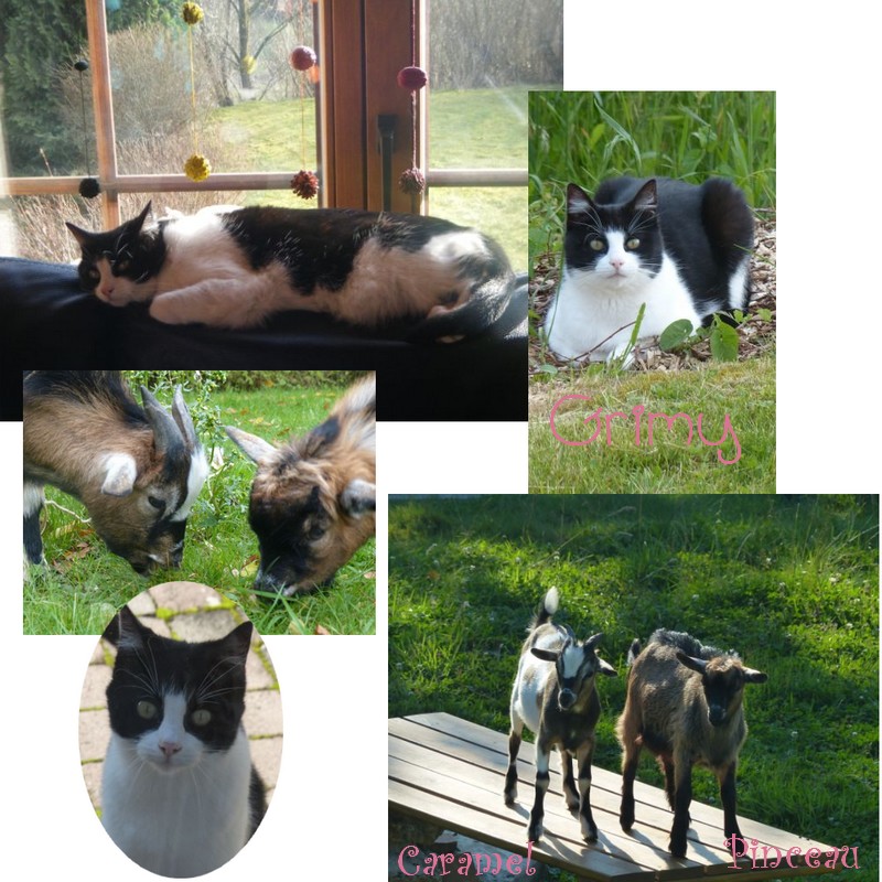 Atelier- Patchwork-Nicole R